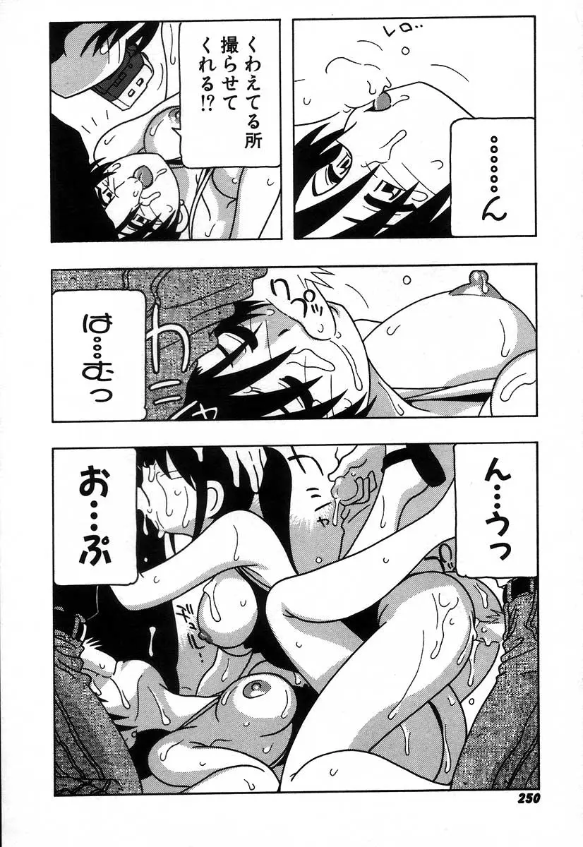 Page 256