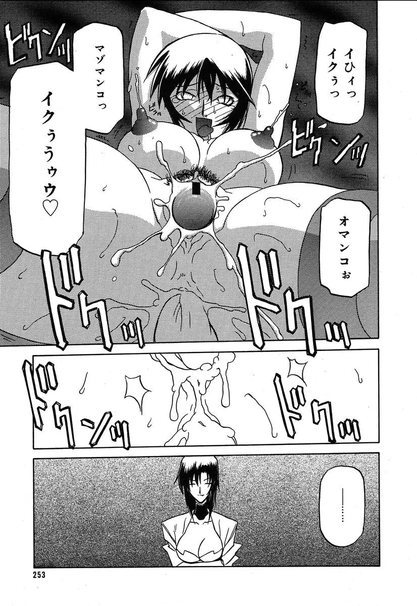 Page 251