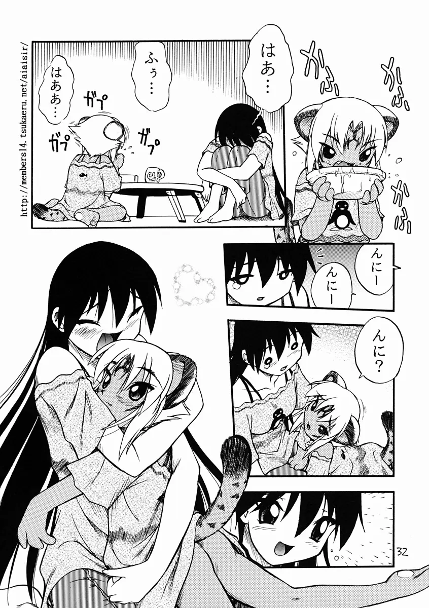 Page 31