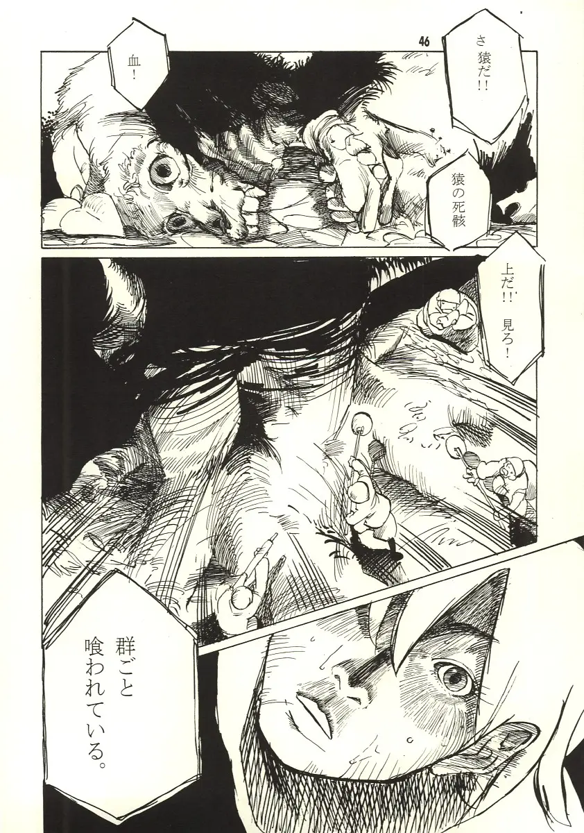 Page 45