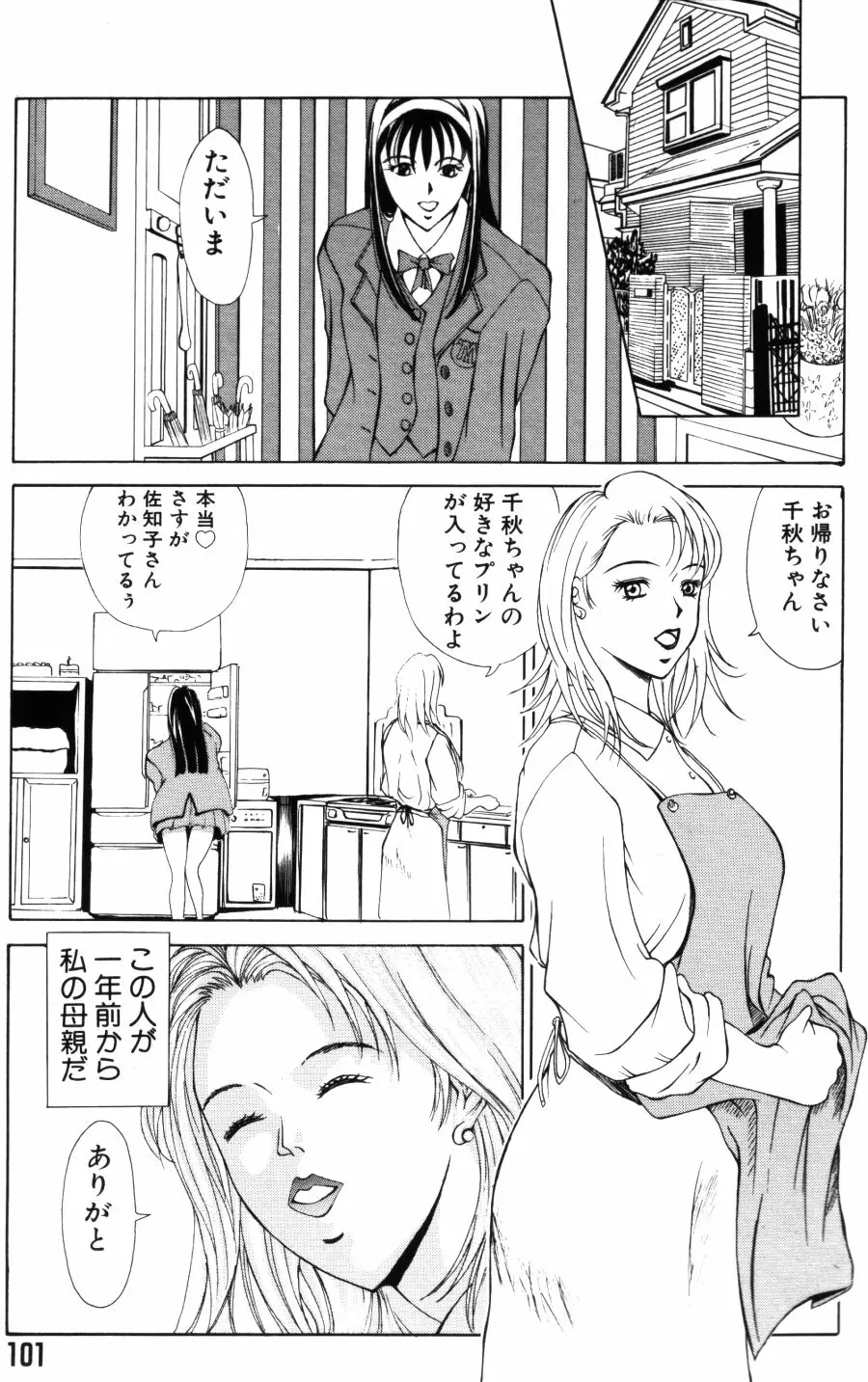 Page 101