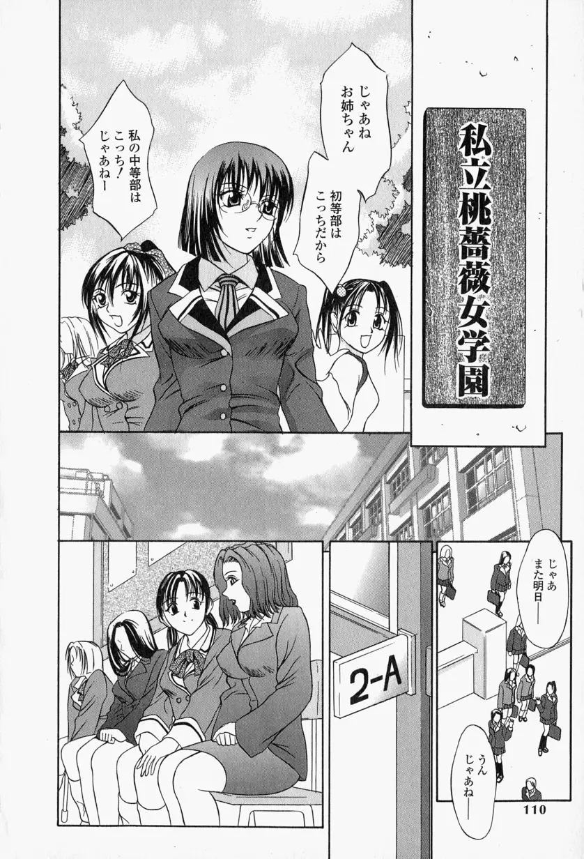 Page 111