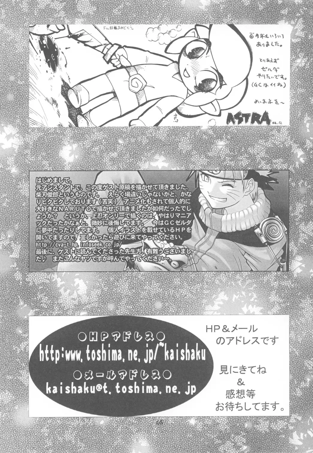 Page 65