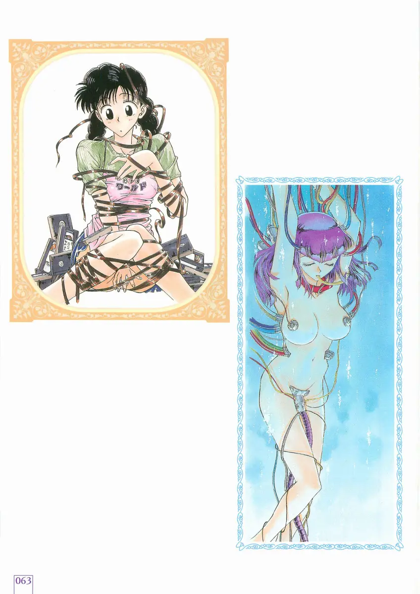Page 65