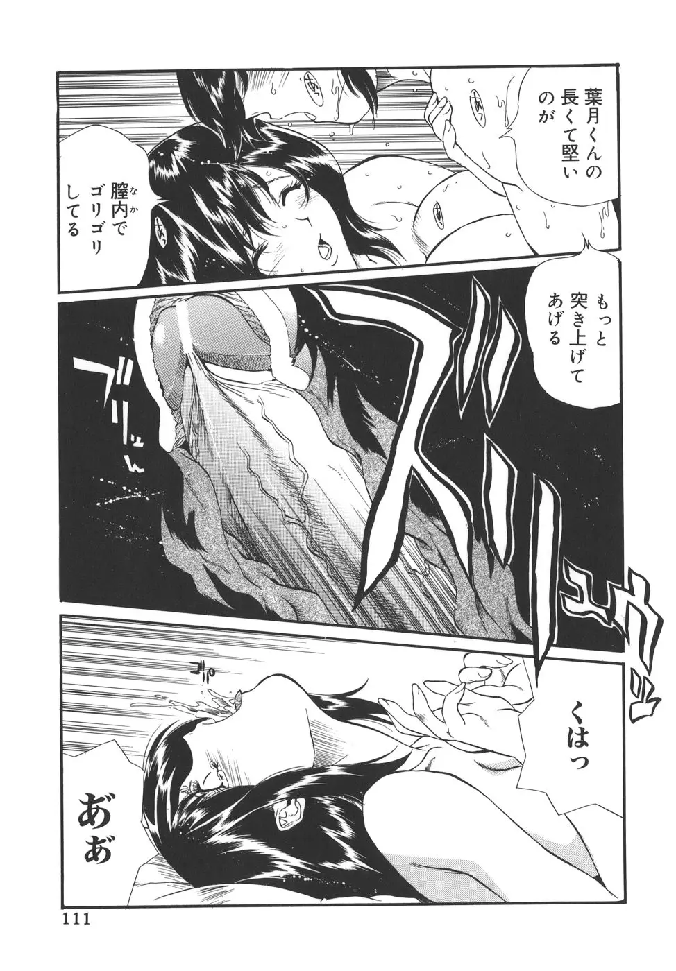 Page 111