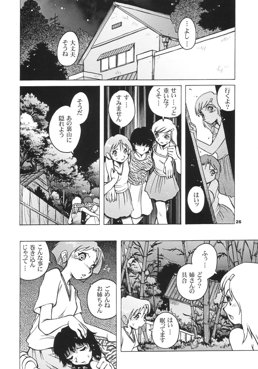 Page 25