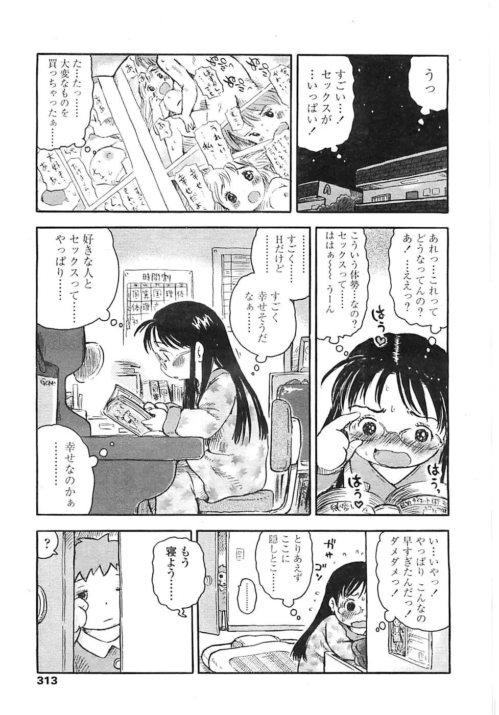 Page 311
