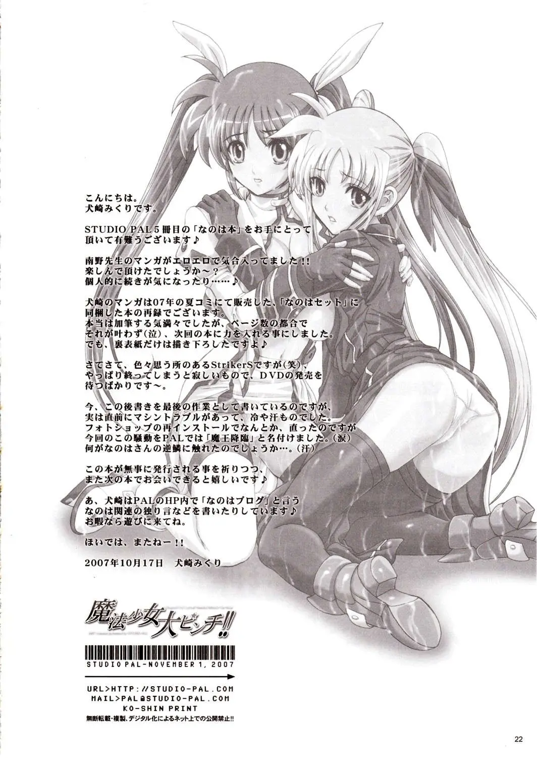 Page 22