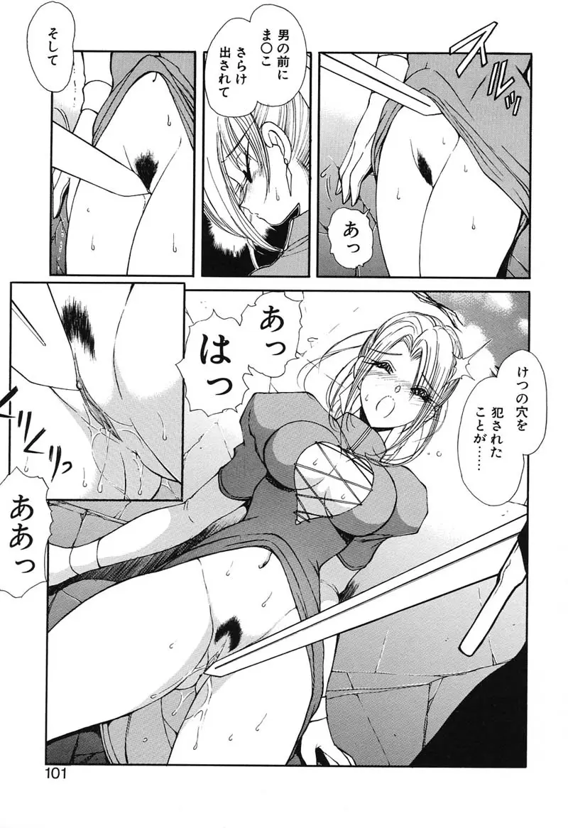 Page 100