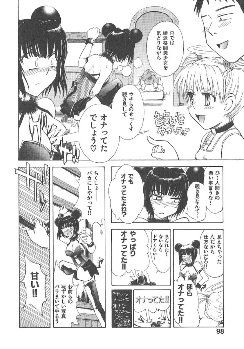 Page 101