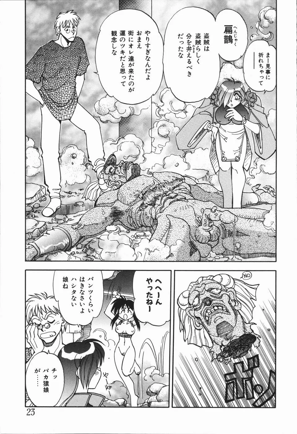 Page 27