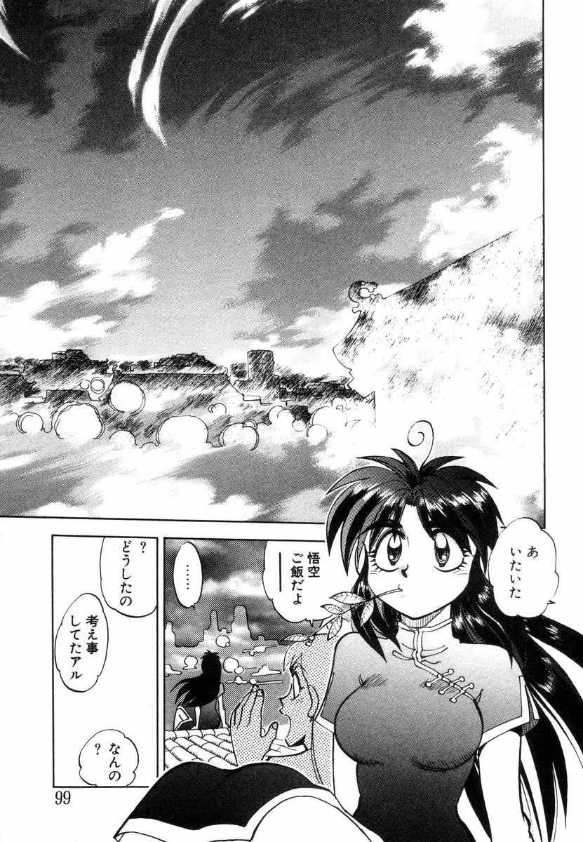 Page 101