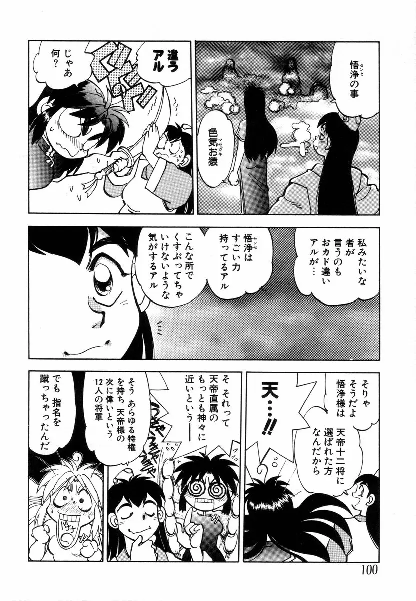 Page 102