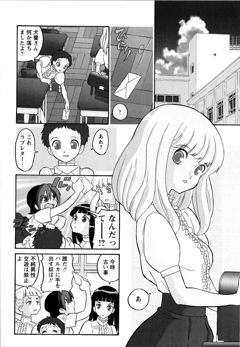Page 97