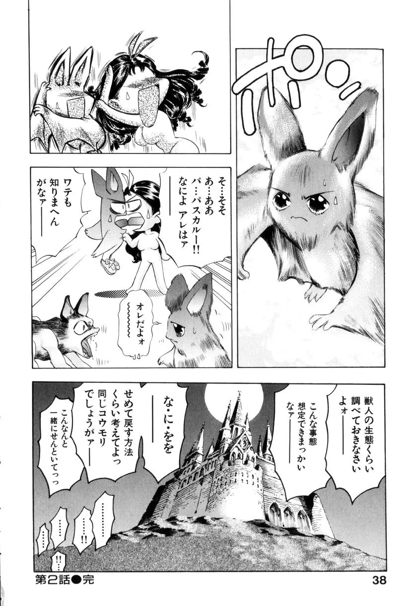Page 41