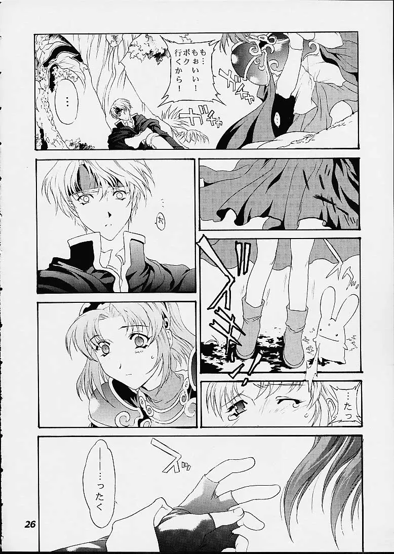 Page 25