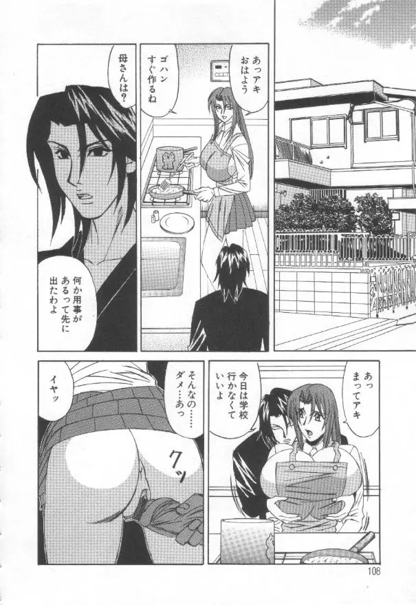 Page 107