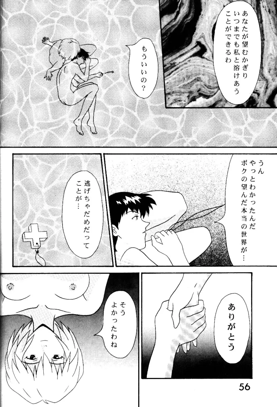 Page 55