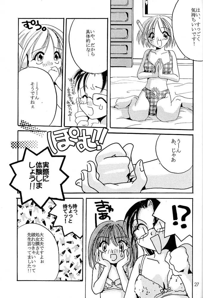 Page 26