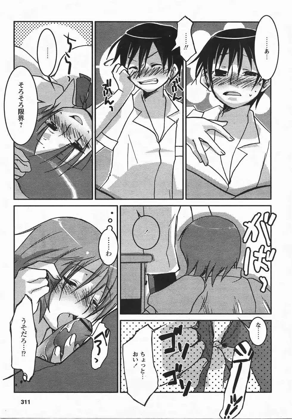 Page 311