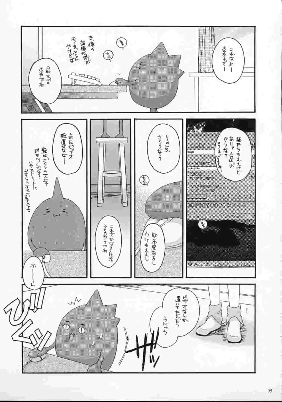 Page 34