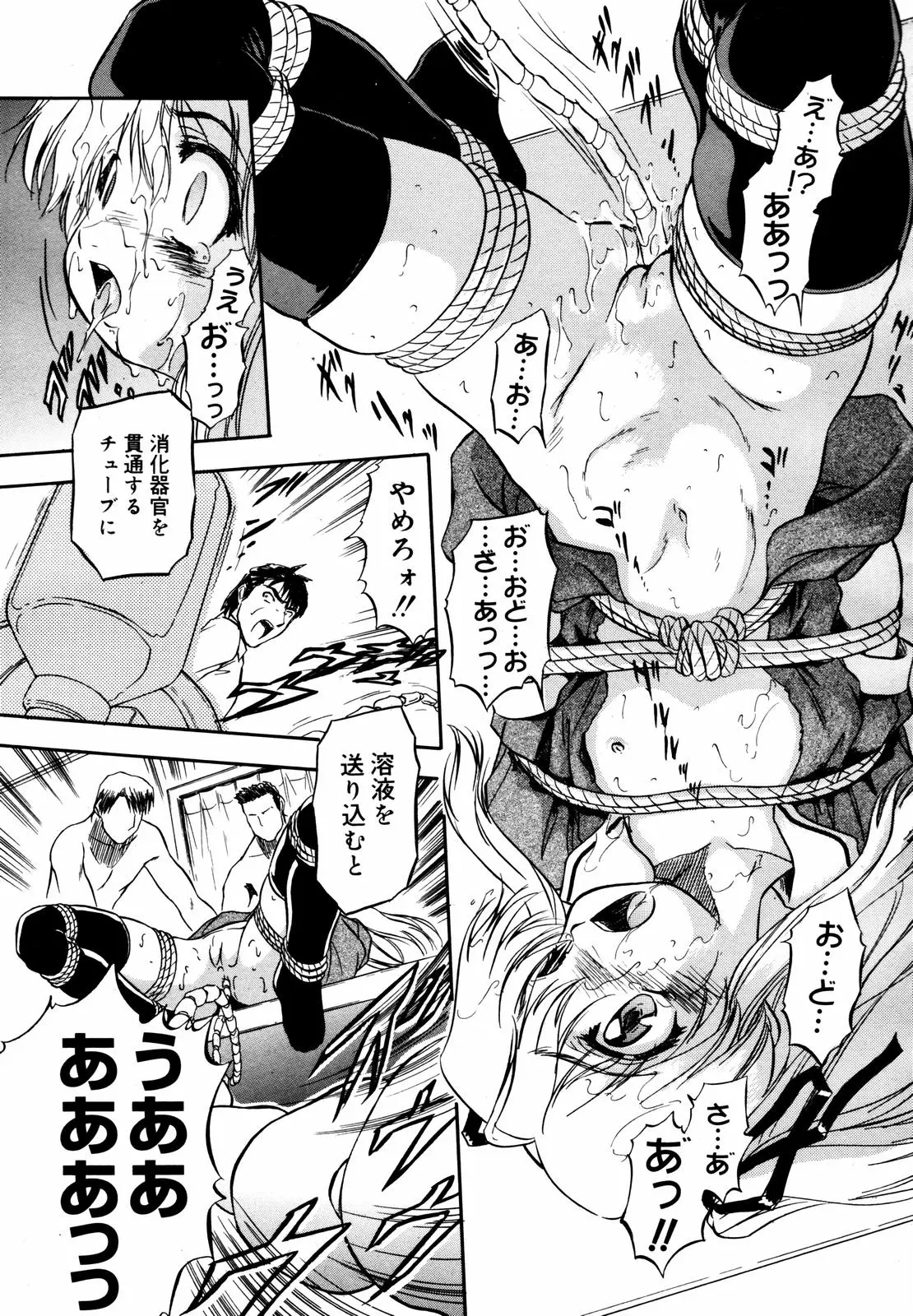 Page 335