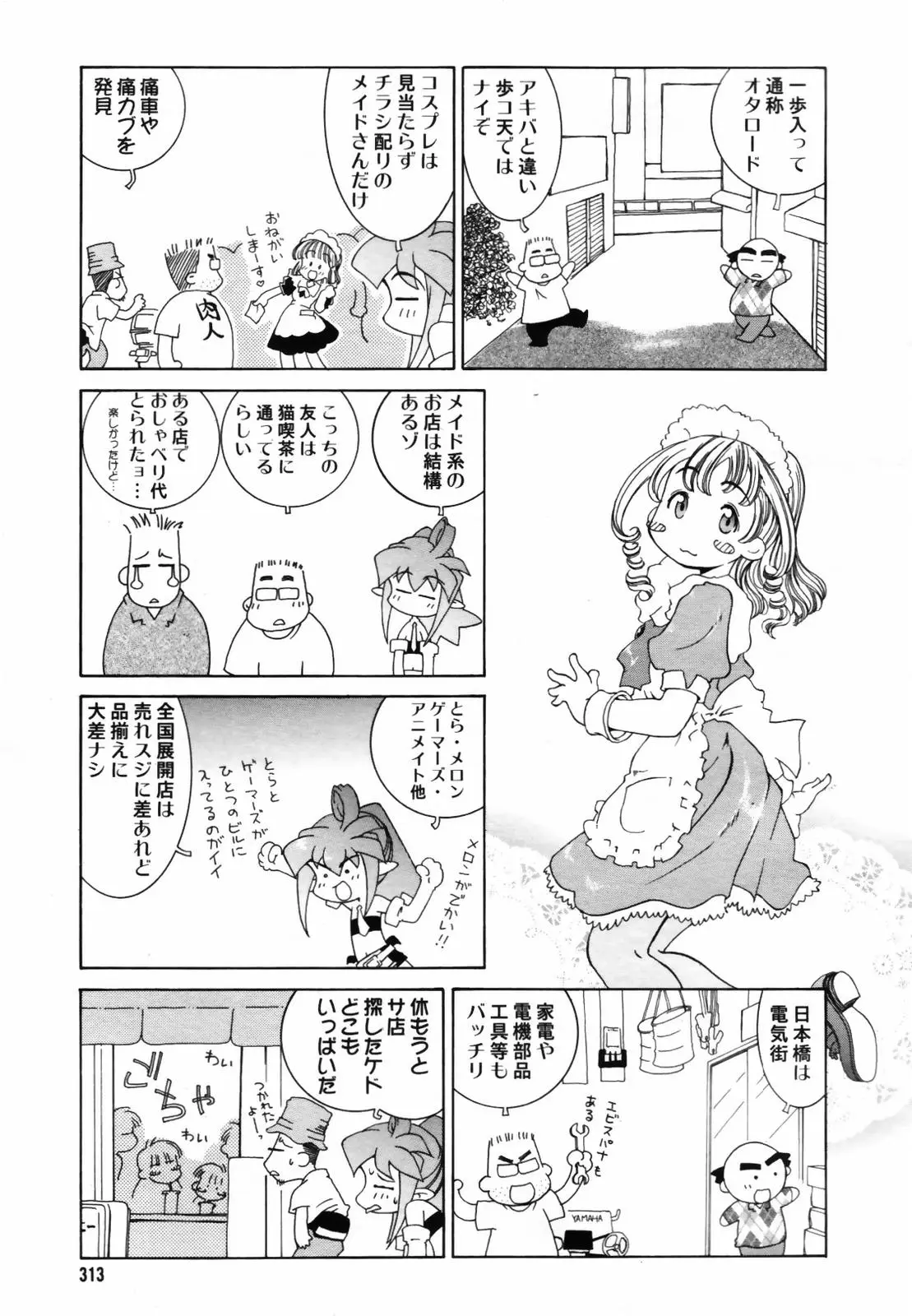 Page 311
