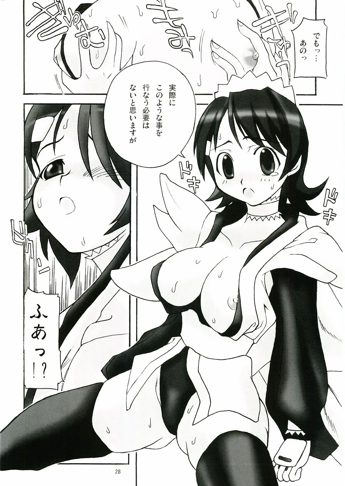 Page 27