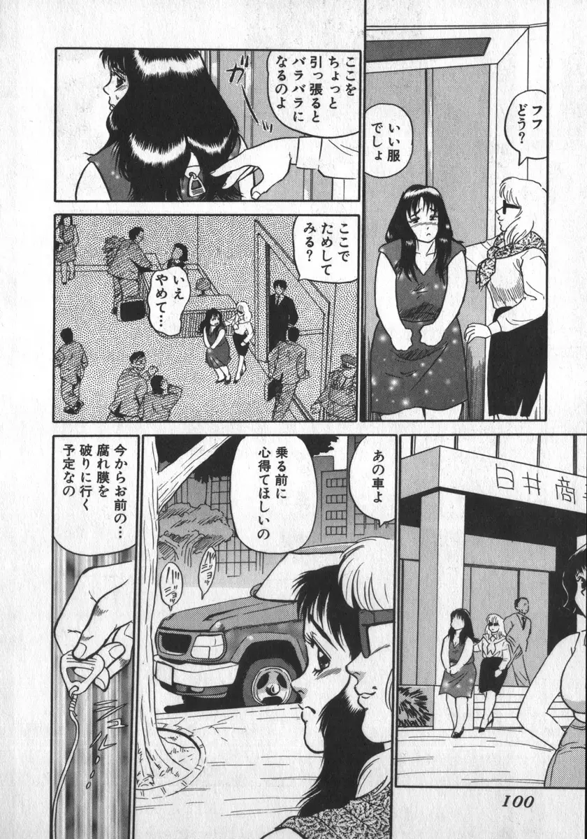 Page 100