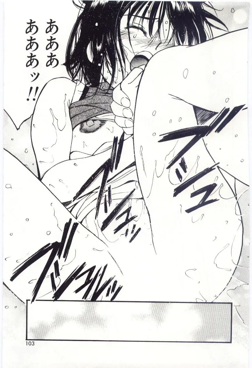Page 102