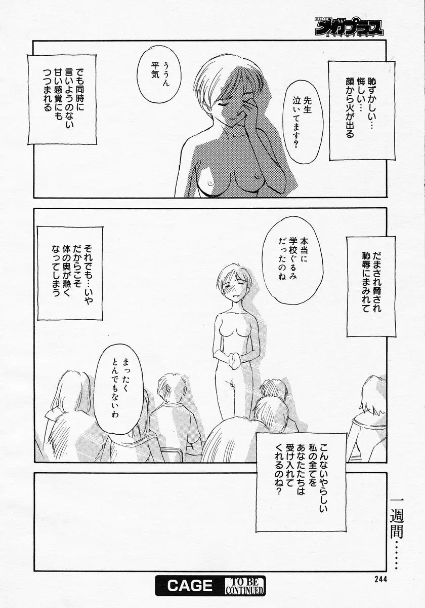 Page 242