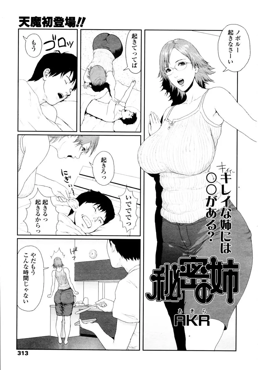 Page 311