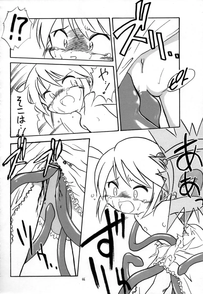 Page 55
