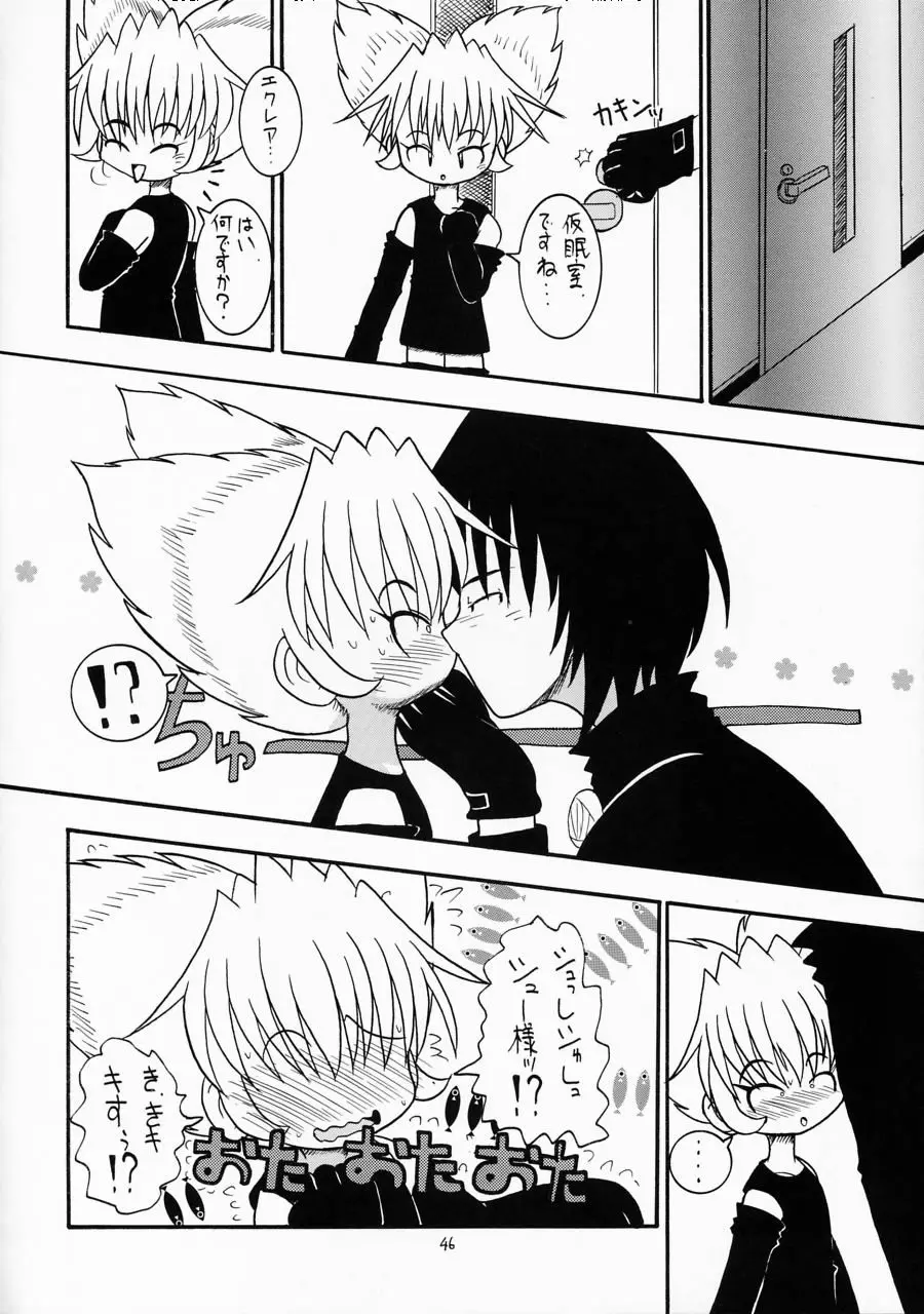 Page 45