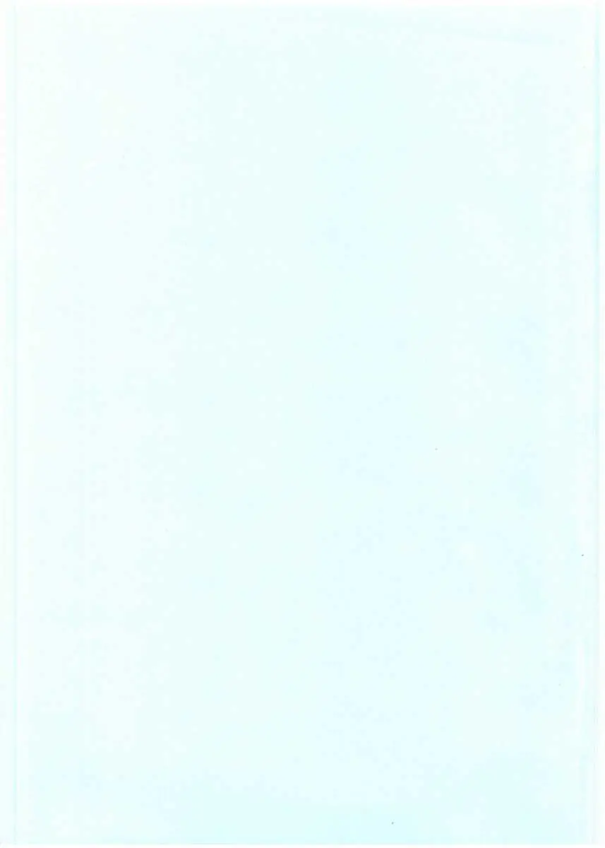 Page 217