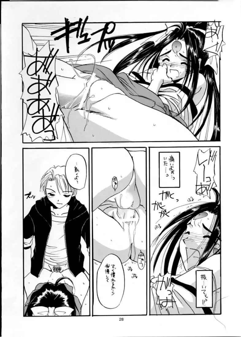 Page 27