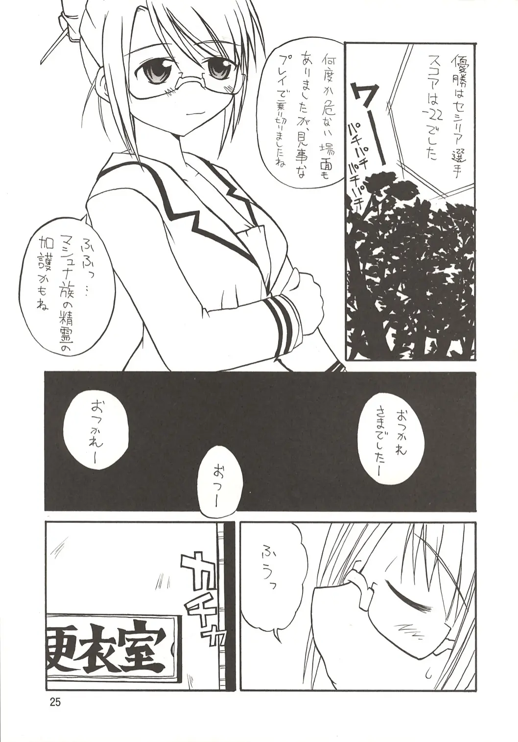 Page 25