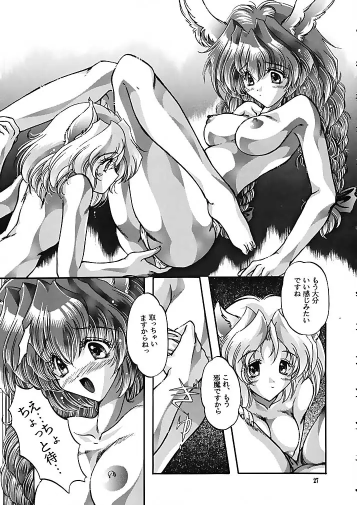 Page 26