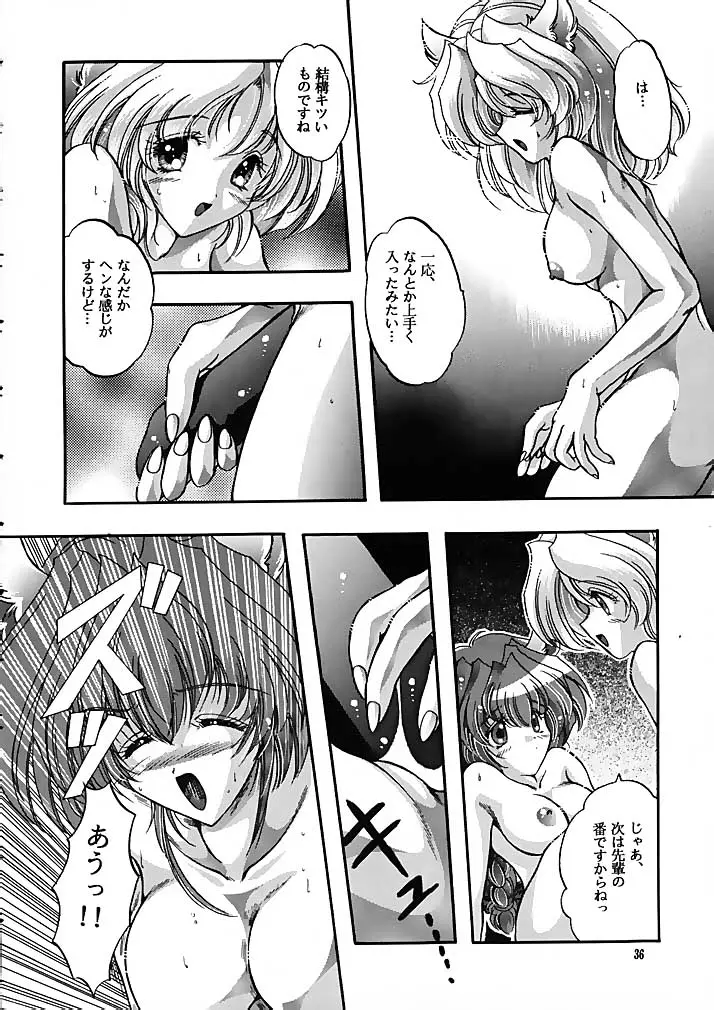 Page 35