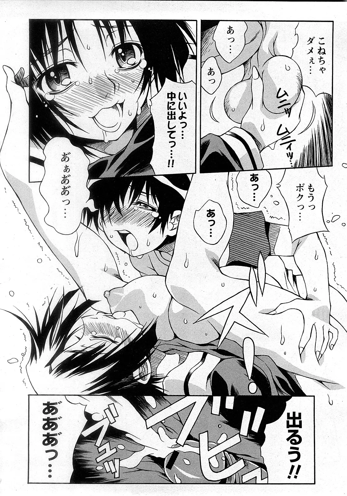 Page 241