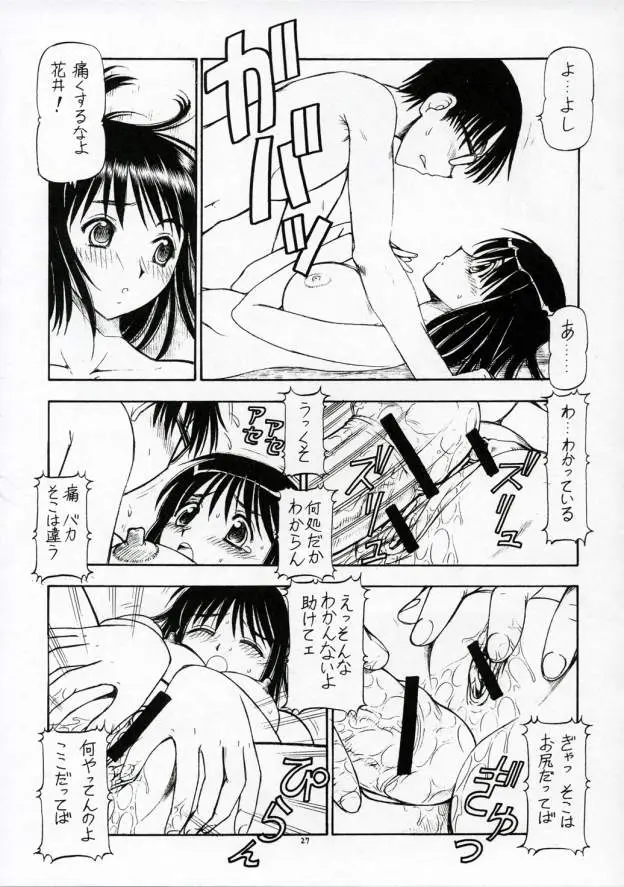 Page 28