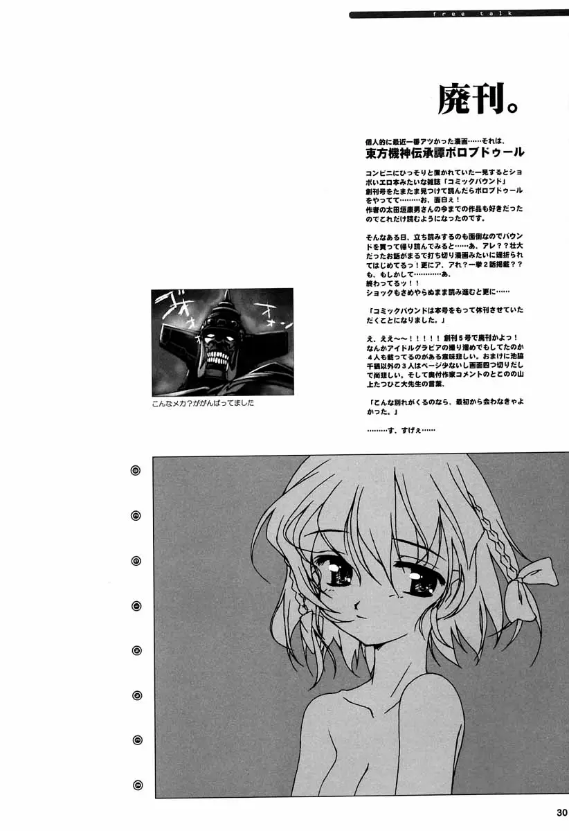 Page 29