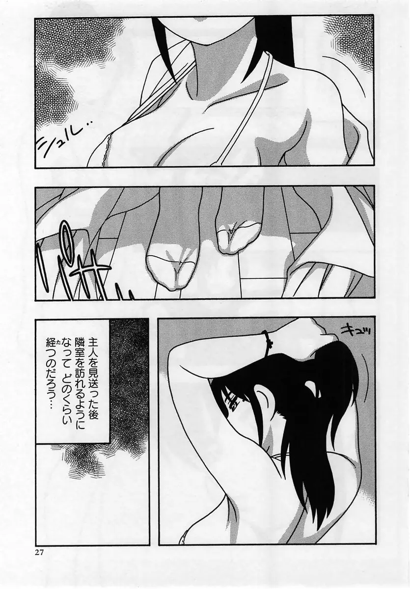 Page 27