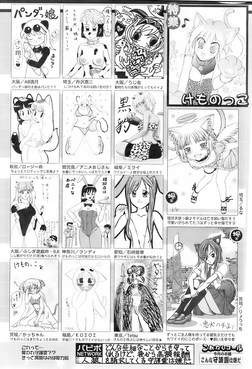 Page 247
