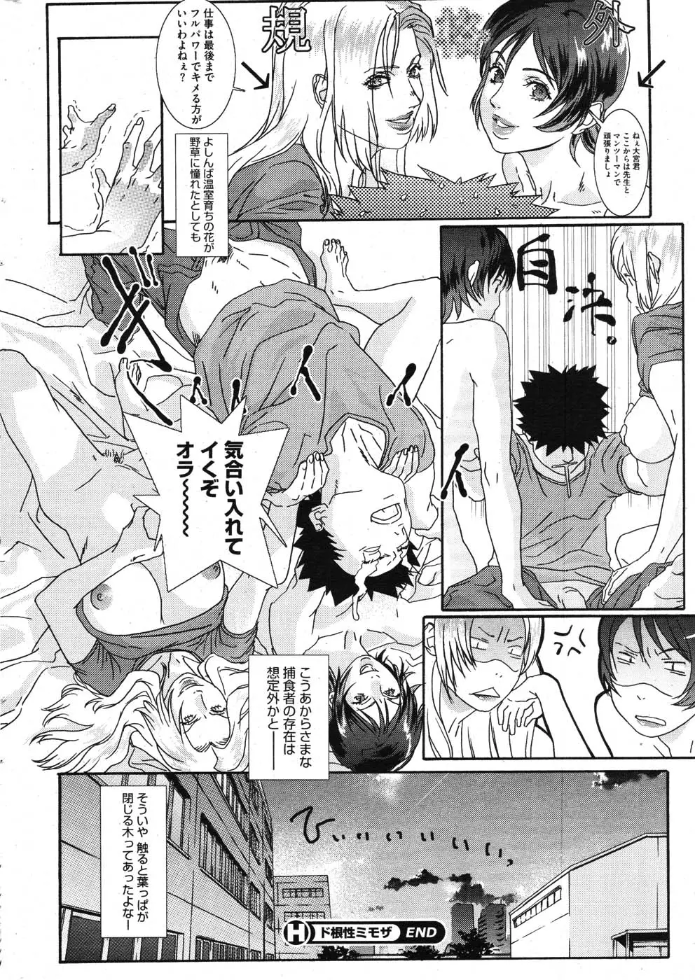 Page 243