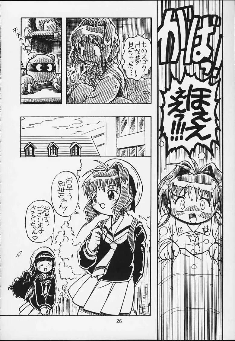 Page 25