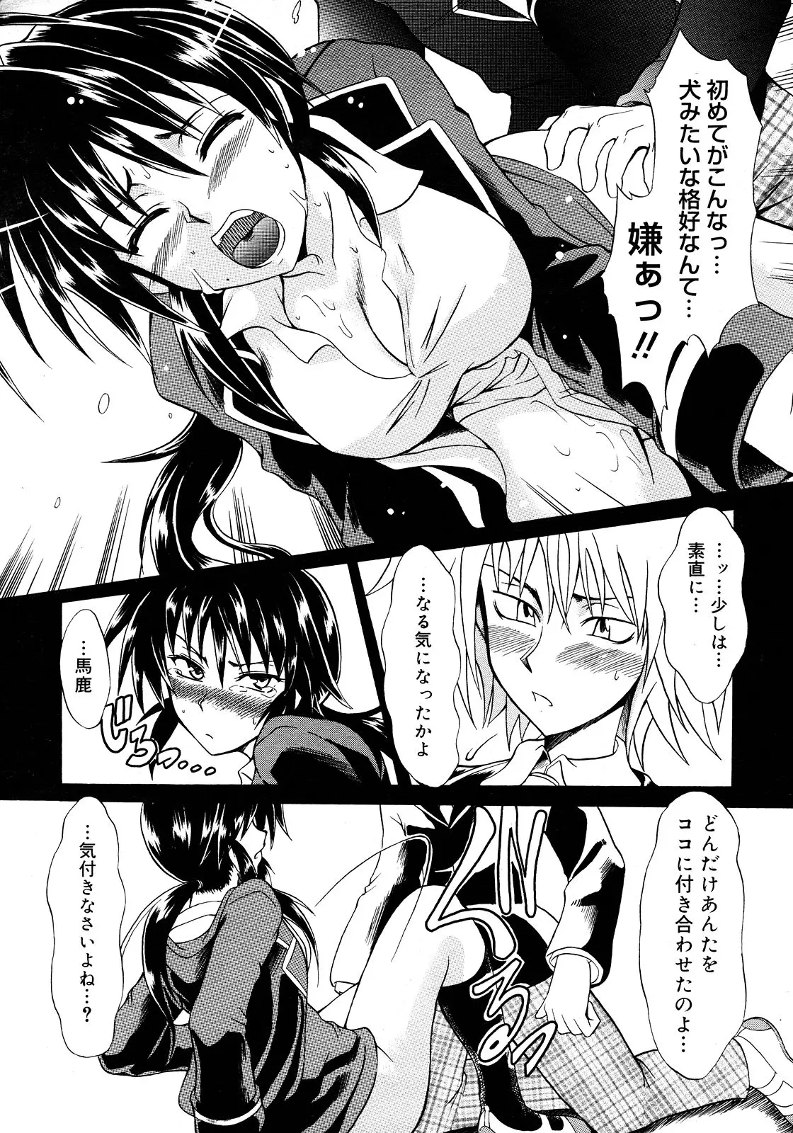 Page 333