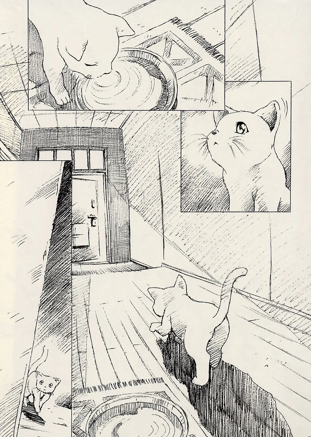 Page 56