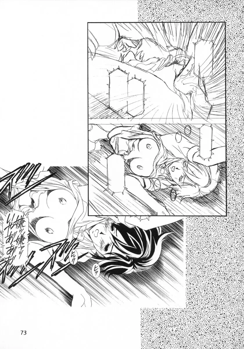 Page 73