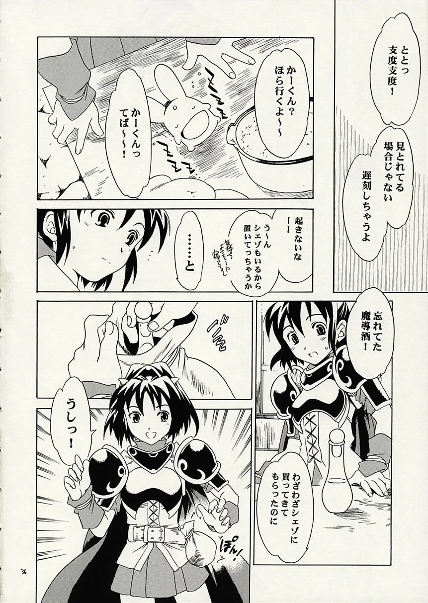 Page 35